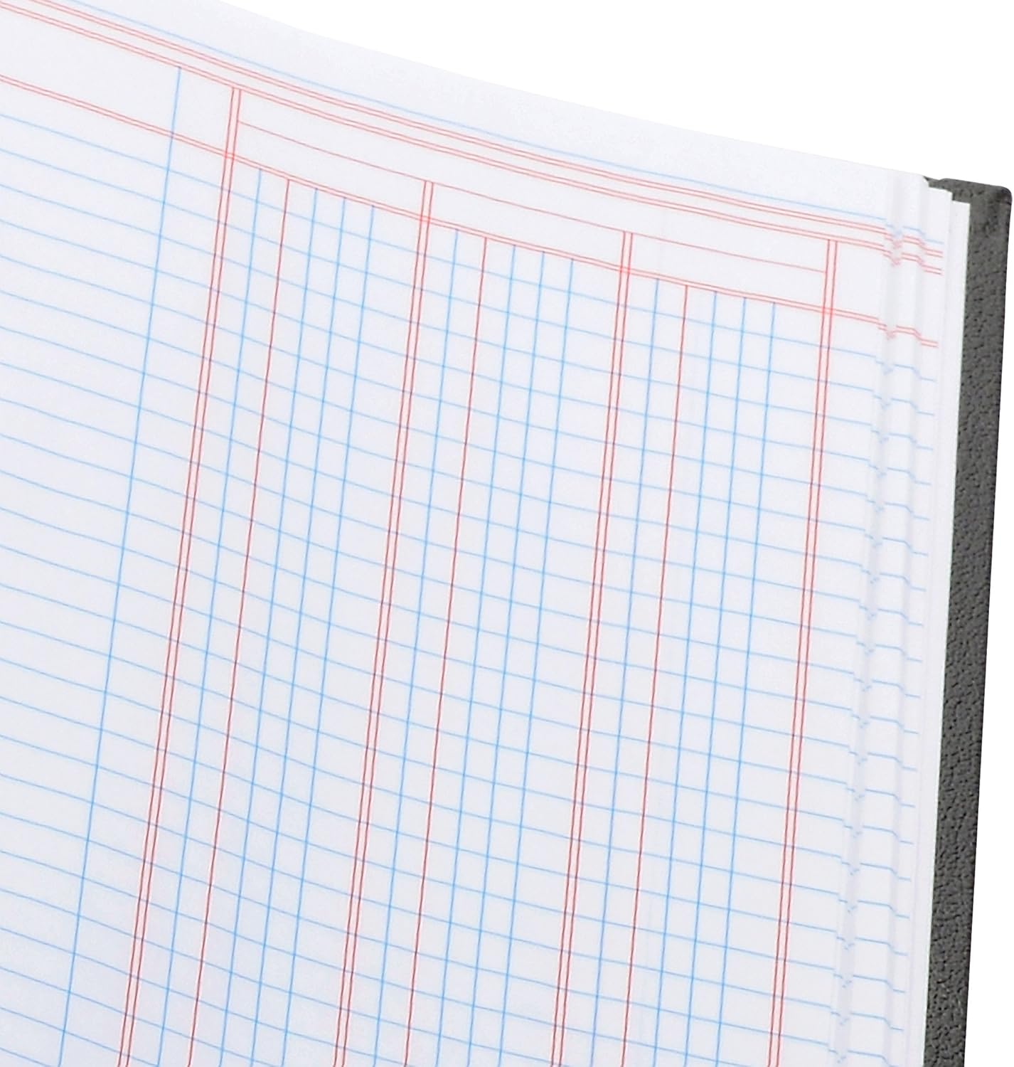 Wilson Jones 74100 Account Book, 9 1/4-Inch x 7-Inch, 30 Lines, 80 Pages, 3 Columns (W74103) : Office Products