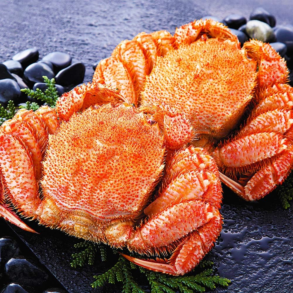 Amazon さっぽろ朝市 毛蟹 超特大 天然 毛ガニ カニ 計2kg 1kg 2尾入 さっぽろ朝市 高水 カニ 通販 Amazon さっぽろ朝市 毛蟹 超特大 天然 毛ガニ カニ 計2kg 1kg 2尾入 さっぽろ朝市 高水 カニ 通販