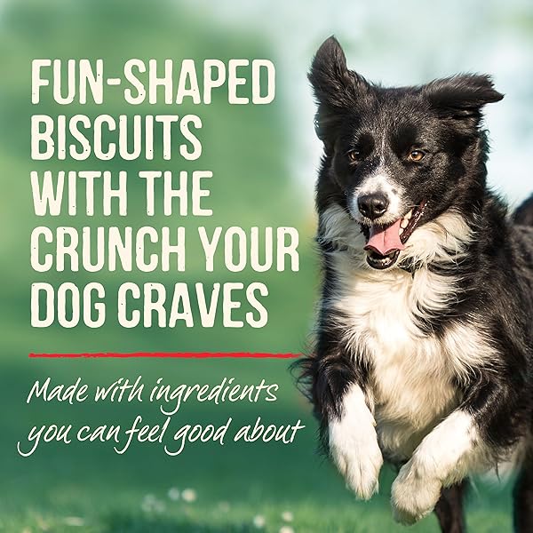 MERRICK OVEN BAKED DOG TREATS, NATURAL COOKIES FOR DOGS, PAW’SOME P’NUT BUTTER COOKIE WITH REAL PEANUT BUTTER – 11 OZ. BAG