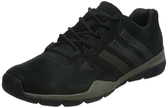 anzit dlx new