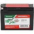 Interstate Batteries YT4B-BS 12V 2.3Ah Powersports Battery 30CCA AGM Rechargeable Replacement for Suzuki, Yamaha, Motorcycles, Mini-Bikes DR-Z50 DR-Z70 SR400 TTR110E TTR50E TTR90E (XT4B-BS)
