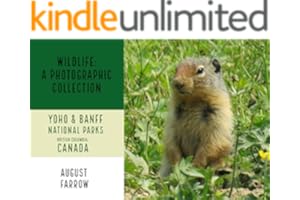 kindle best category lists