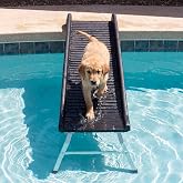 Bulyoou 61" Foldable Non-Slip Dog Pool Ramp with 20" Support Legs | 200lbs Capacity Fits Dog Ramp for Pool, Above Ground or Inground Pools, Car, Truck