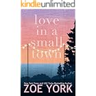 Love in a Small Town (Pine Harbour Book 1)