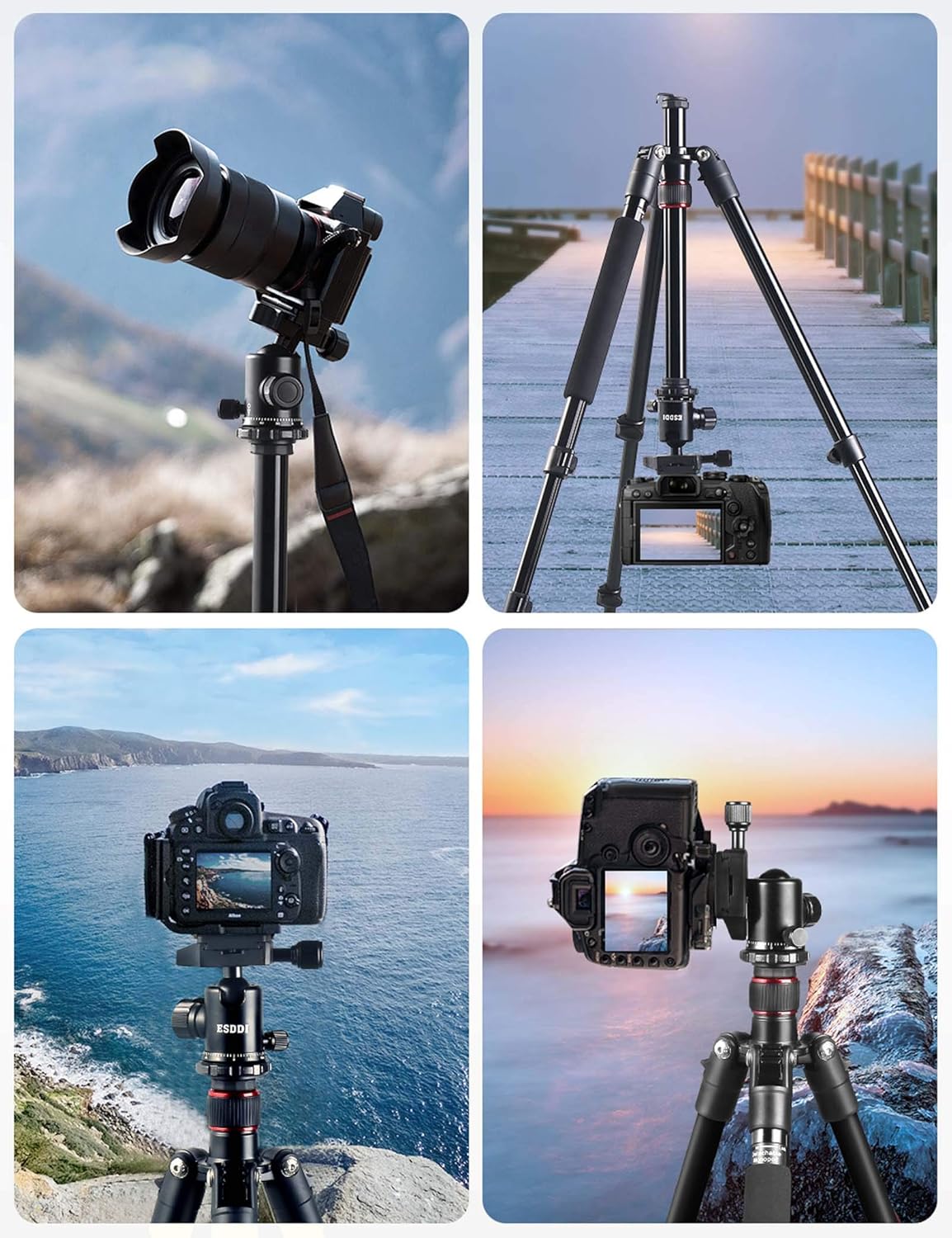 ESDDI Camera Tripod, DSLR Tripod with 360° Ball Head, 64" Aluminum Tripod with Monopod 1/4" Quick Release Plate and Phone Holder for Vlog, Travel and Work : Camera & Photo