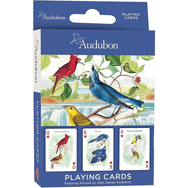 Amazon.com: Birds of North America Deck: 9781680513028: Vyn