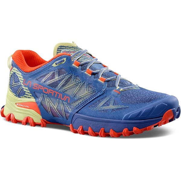 かず坊　2本　レジェーラ Amazon.com | La Sportiva Mens Bushido II GTX Trail Running