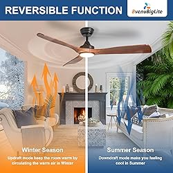 BvenuBigLite Outdoor Ceiling Fan with Light: 52