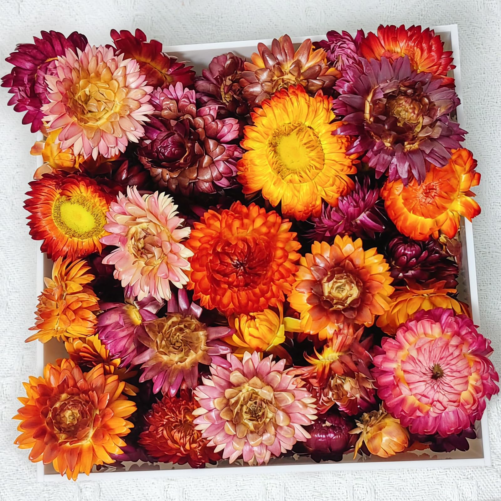 Photo 1 of 100 Pcs Natural Dried Daisy Flowers Heads,Bulk Real Gerbera Daisies & Chrysanthemums,Multicolor Dry Floral Supplies for DIY Crafts,Wedding Decor,Home Party,Wreath Garland,Soap&Candle Making