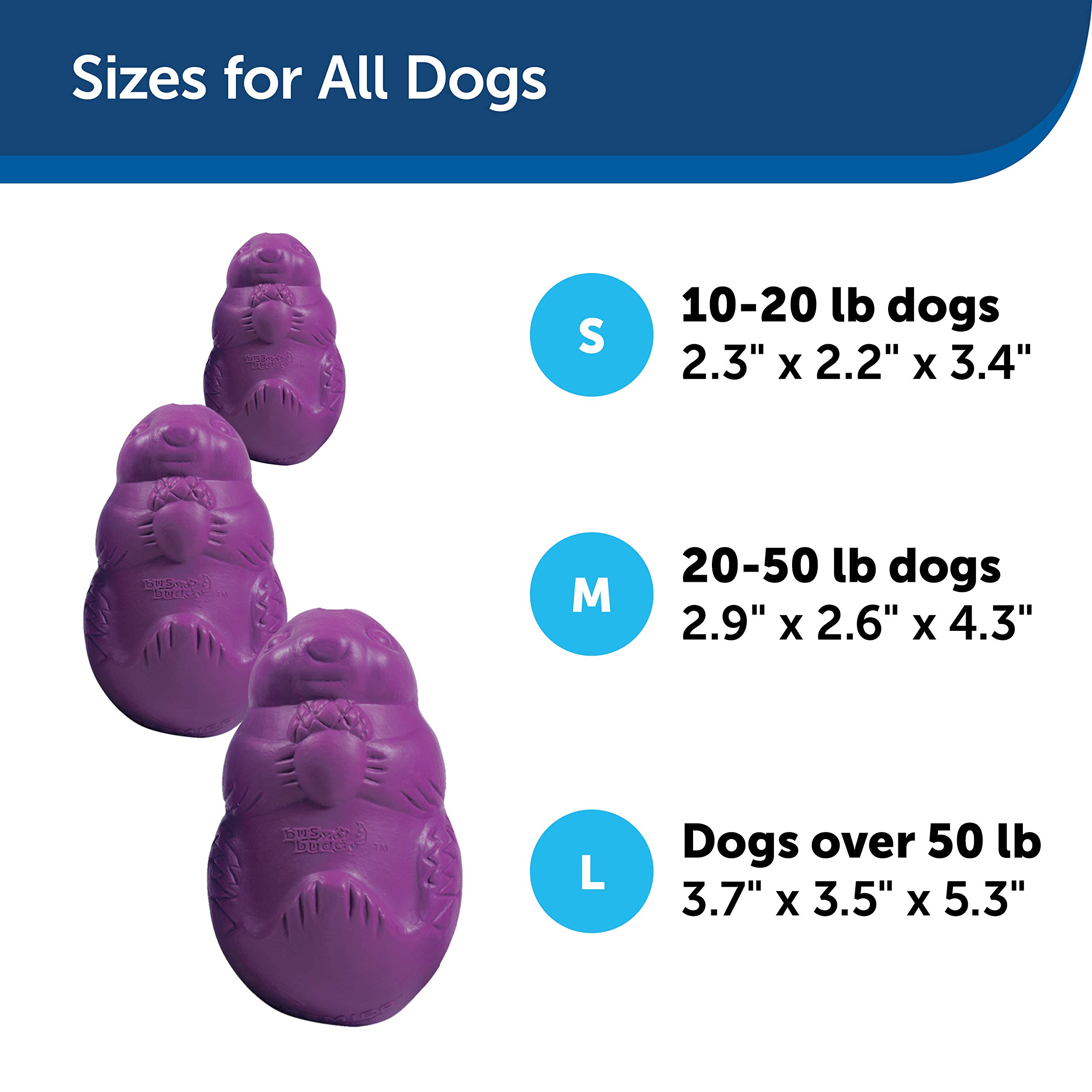 PetSafe Busy Buddy Squirrel Dude Dog Toy - Treat Dispensing Toy – Large