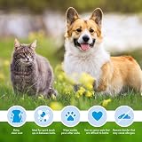 Petkin Mega Valu Pet Wipes 125 ct Eye Wipes Veterinarian Approved view 5
