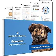 Wisdom Health Essential Dog DNA Kit | Most Accurate Test | 365+ Breeds | 30 Genetic Health Conditions | 50+ Traits, Relatives, Ancestry | Pack of 1