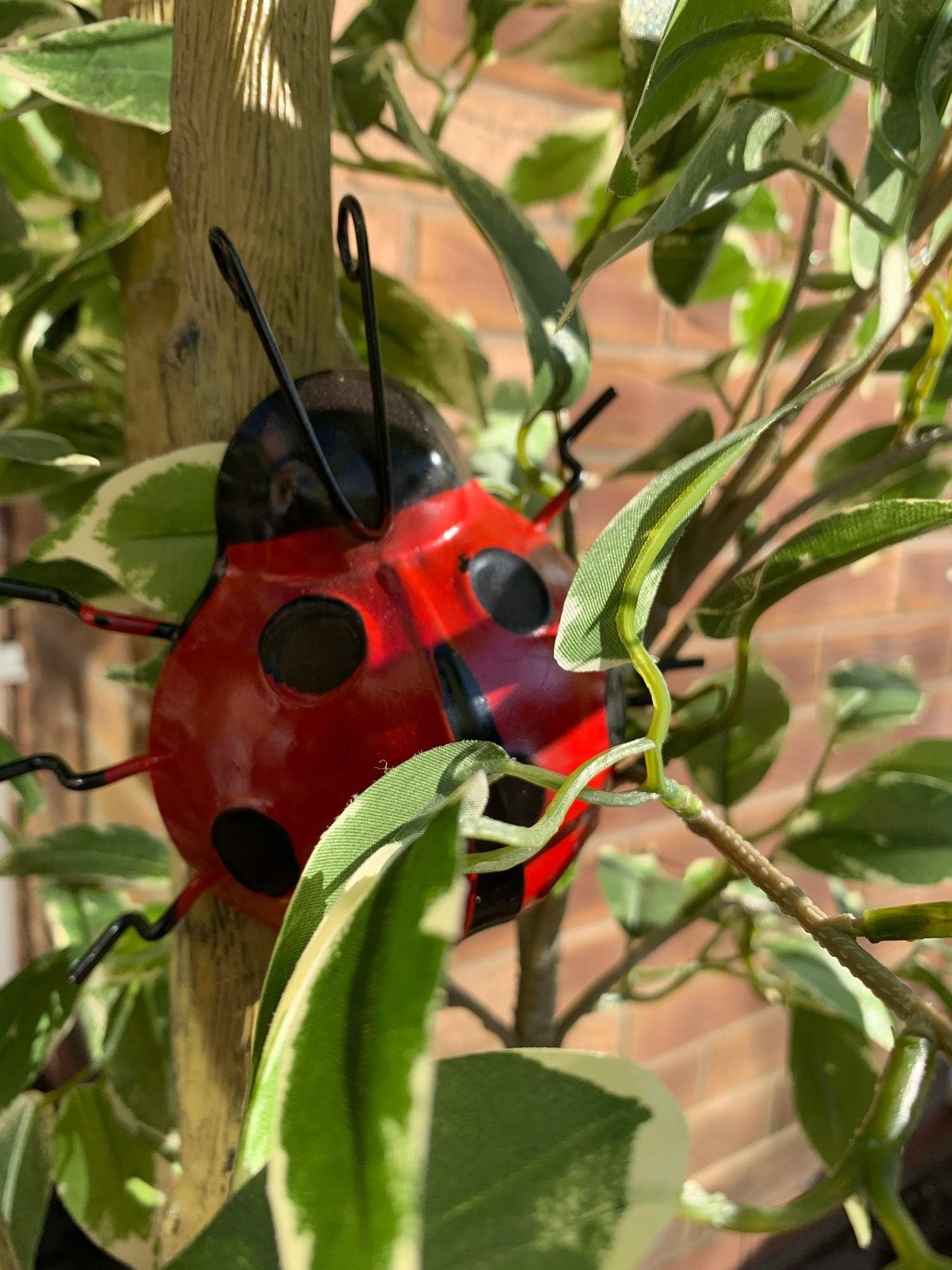 2 Metal Ladybird Wallart Art Garden Ornaments