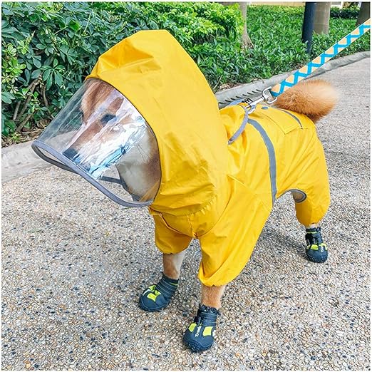 shiba inu raincoat