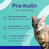 Protexin Pro-Kolin Probiotic Paste for Cats & Small Dogs 15ml Syringe view 2