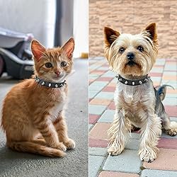 Enjoying Spiked Cat Collar, Leather Spikes Dog