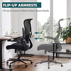 SMUG Ergonomic Office Desk Computer Chair,Comfy
