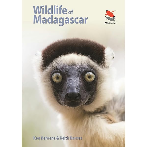Lemurs of Madagascar, 3rd Edition: Russell A. Mittermeier, Frank