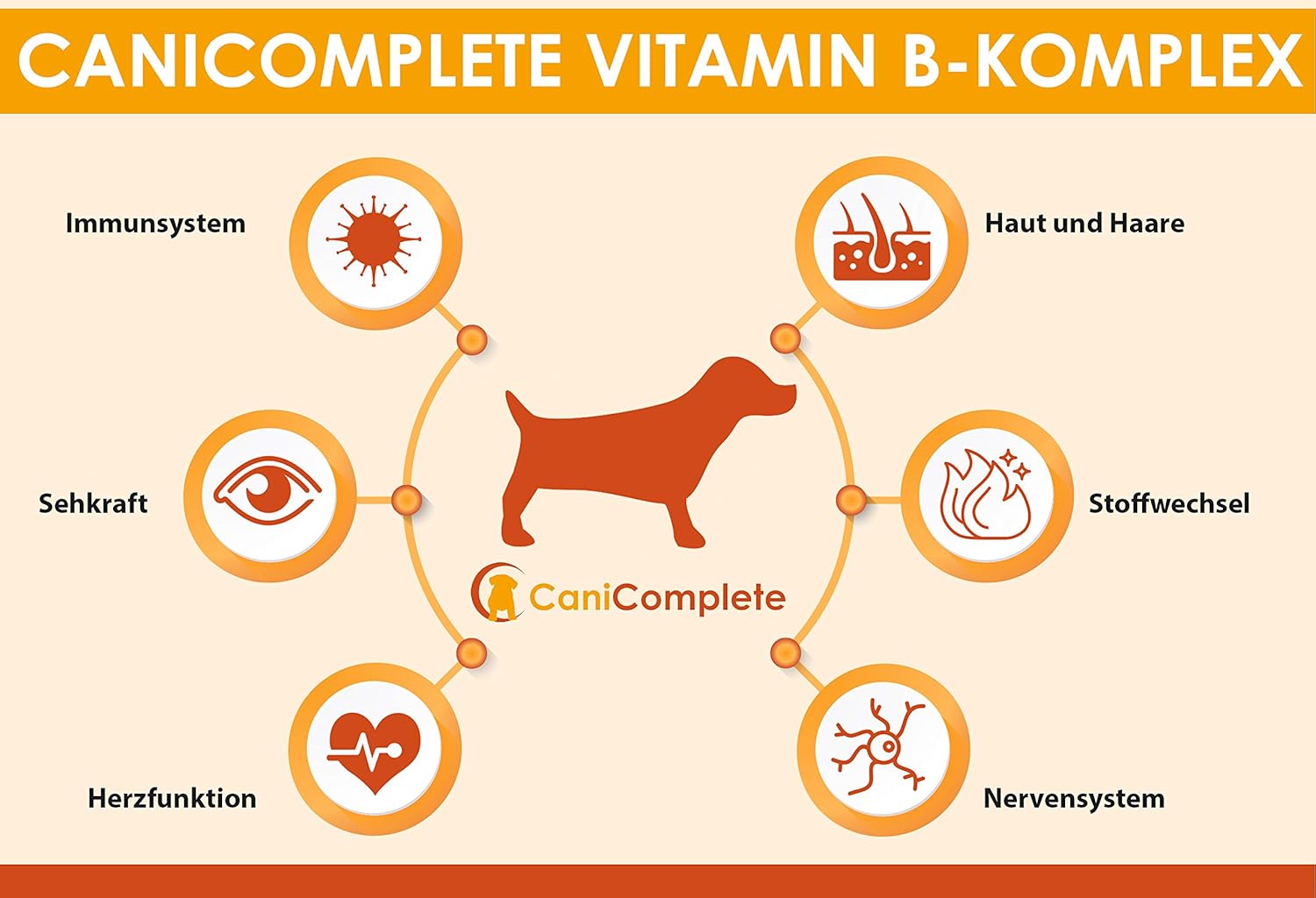 Vitamin B Complex for dogs, cats B1, B2, B3, B5, B6, B9