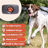 PitPat GPS Dog Tracker No Monthly Fees Pink - Satellite Live Tracking view 7