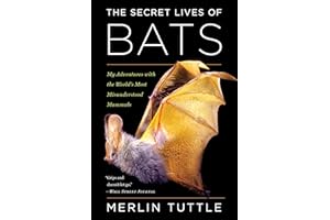 The Secret Lives of Bats: My Adventures with the World's Most Misunderstood Mammals