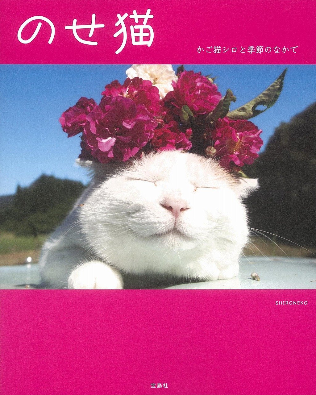 のせ猫 かご猫シロと季節のなかで Shironeko 本 通販 Amazon