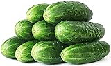 50 Straight Eight Cucumber Seeds - Heirloom Non-GMO