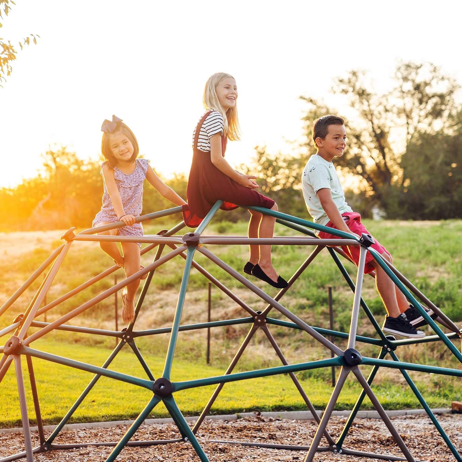 Lifetime Geometric Dome Climber Play Center : Sports & Outdoors