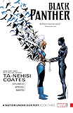 Black Panther: A Nation Under Our Feet Vol. 3 (Black Panther (2016-))