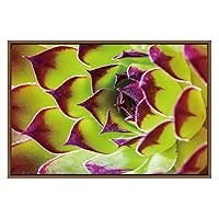 SIGNWIN Framed Canvas Wall Art Neon Green with Purple Tip Sempervivum Houseleek Botanical Succulent Photography Minimalism Modern Closeup Colorful for Living Room, Bedroom, Office - 16