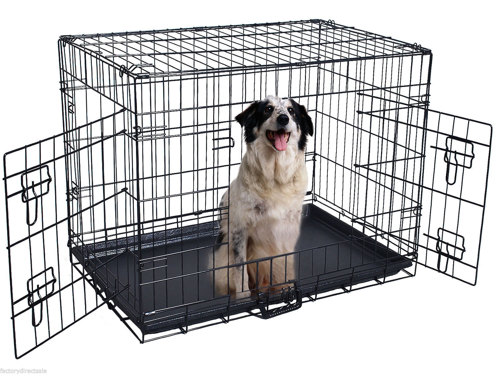 cat dog cage