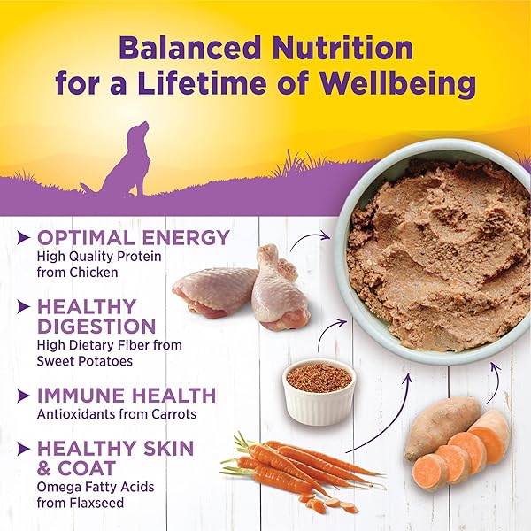 WELLNESS COMPLETE HEALTH NATURAL WET CANNED DOG FOOD, AGE ADVANTAGE CHICKEN & SWEET POTATO, 12.5-OUNCE CAN (PACK OF 12)