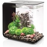 biOrb Flow 30 Acrylic 8-Gallon Aquarium with White LED Lights Modern Tank for Tabletop Display, Black