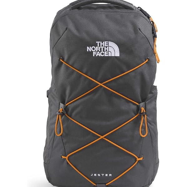 THE NORTH FACE Recon Everyday Laptop Backpack | Water Repellent Finish, 16"  Laptop Sleeve, 2 Water Bottle Pockets, Smokey Brown/Latte, One Size :  Amazon.ca: Electronics