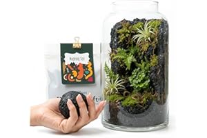 KRAFTSTORIES Terrarium Modeling Soil Mix, Glass-Adhesive, Terrarium Substrate, Adhesive Soil, Moss Wall, Vertical Natural-Looking for Miniature Scenes, Fairy Gardens & Plant Displays (16 oz)