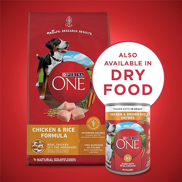 PURINA ONE TENDER CUTS IN WET DOG FOOD GRAVY CHICKEN AND BROWN RICE ENTREE – (PACK OF 12) 13 OZ. CANS
