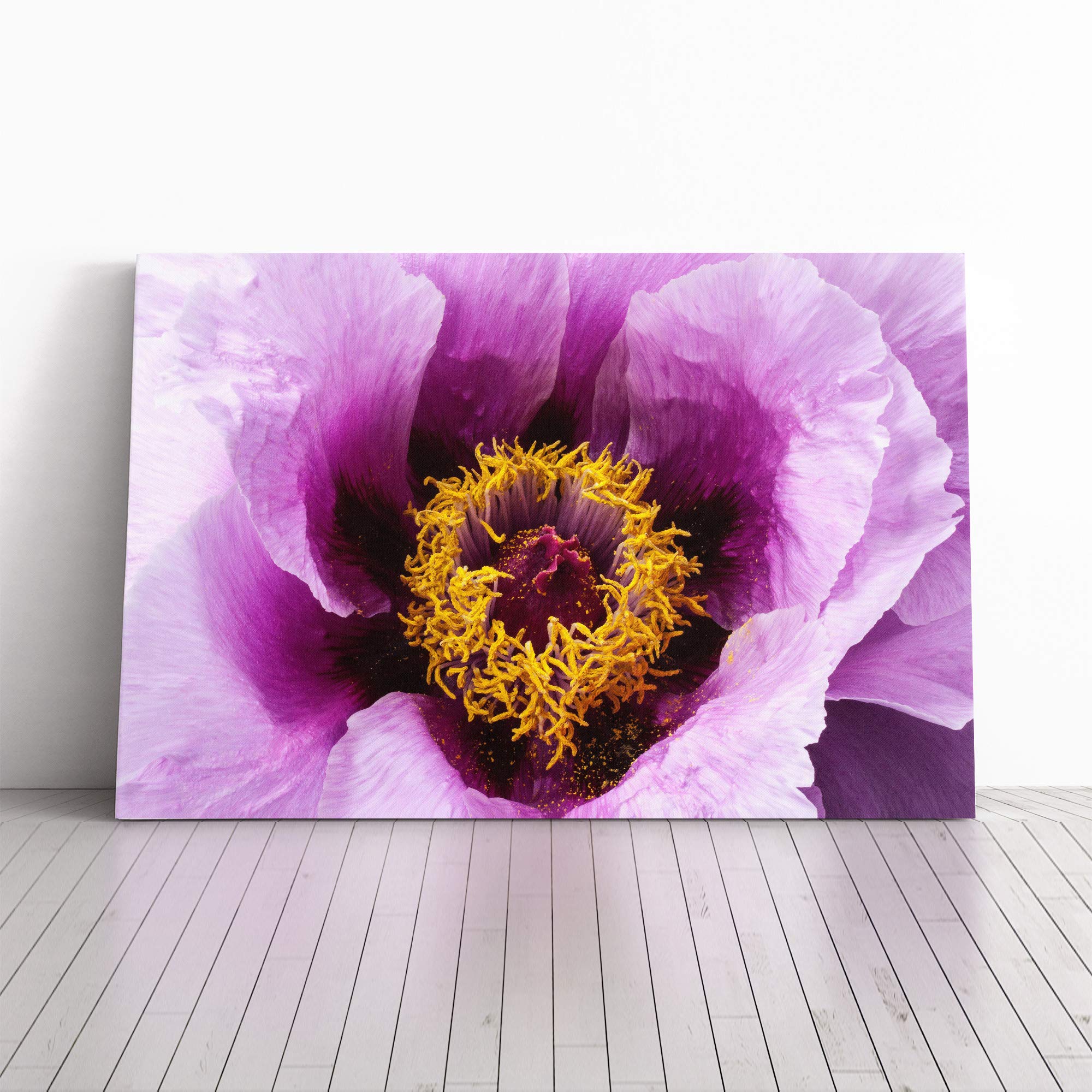 Flower Peony Purple Canvas Print | Gallery Wrapped 30mm Frame Wall Art | 20x14 inches | Ready to Hang | Modern Floral Picture | Living Room Bedroom Lounge Office