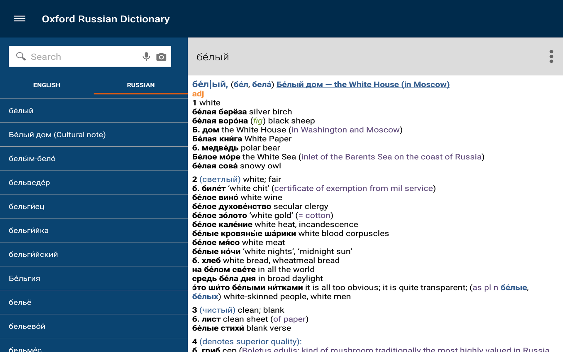 Oxford Russian Dictionary
