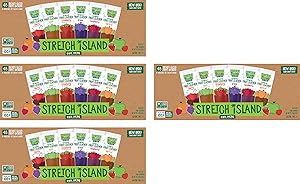 Stretch Island Fruit Leather Snacks Variety Pack, 0.5 Ounce, Pack of 48, -4 Pack