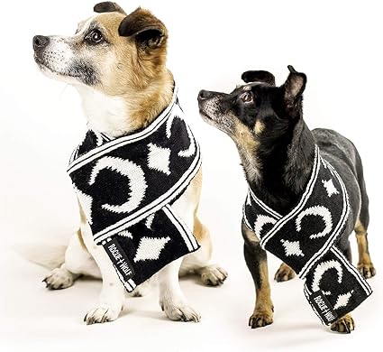 Small puppy accessories Clearance