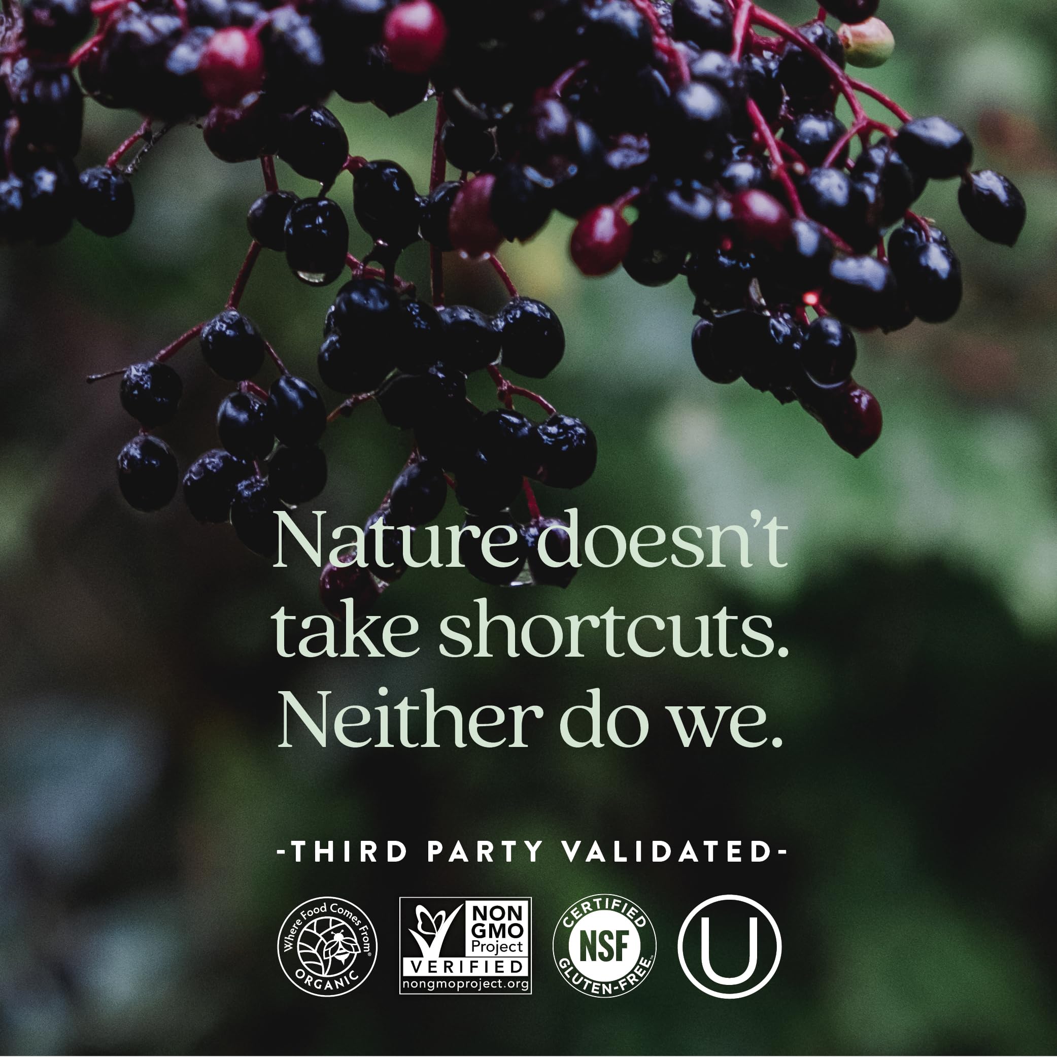 New Chapter Women’s Multivitamin, Iron, B6, B12, Biotin for Hair Growth, D3, Vit C, Zinc for Immune & Stress Support, Gentle on an Empty Stomach, One Daily, Non-GMO, Gluten-Free, 18+, 72 Tablets