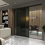 Doors 55 Glass Room Divider Panel and Partition