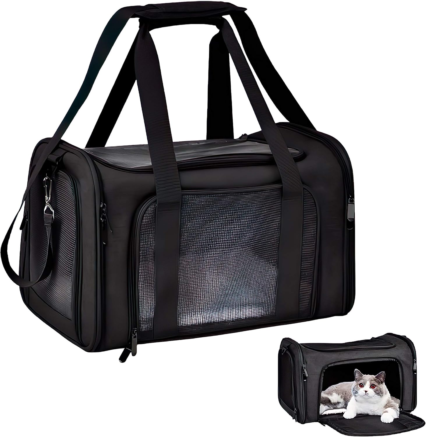 cat carrier for 15 lb cat
