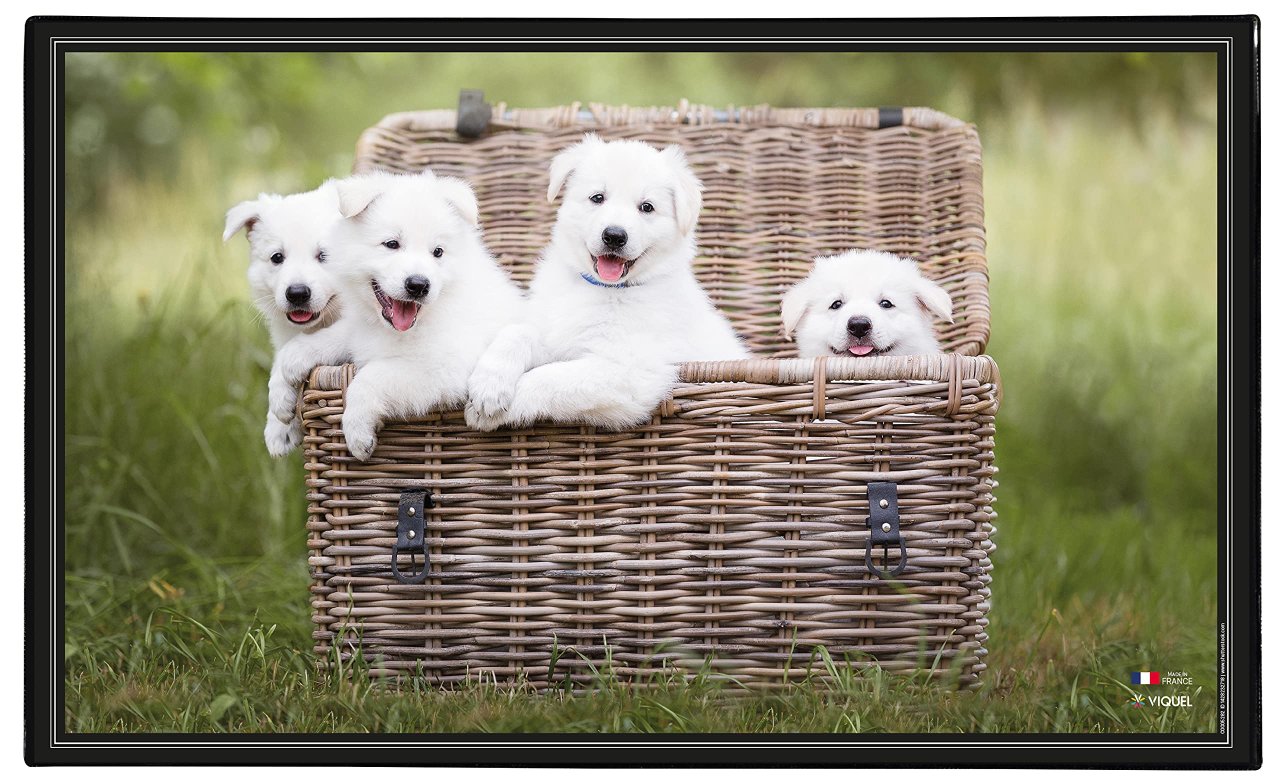 Viquel - Decorative Desk mat for Puppies/Kittens