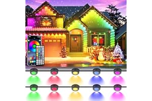 GEODURN 100 FT Permanent Outdoor Lights, Waterproof 2-in-1 Eaves & Ground Stakes LED String Lights with App/Remote Control for House, Garden– Smart Color-Changing Lighting for Halloween Christmas Decorations
