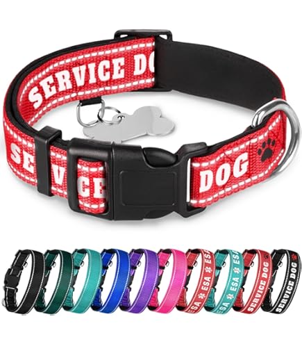 BOSELLI LIGHT STRETCH COLLAR ¥22000 Billy Royal® Deluxe Padded Adjustable Trail Breastcollar