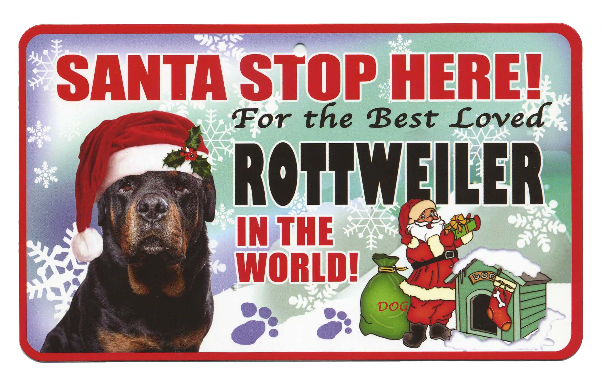 rottweiler accessories online