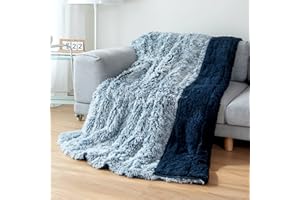 Cottonblue Weighted Blanket Queen Size 15lbs, Sherpa Faux Fur Reversible Luxury Shaggy Long Fur Warm Heavy Blanket 60x80 inches, Warm Plush Sherpa Microfiber Blanket for Couch Sofa Bed, Morandi Blue