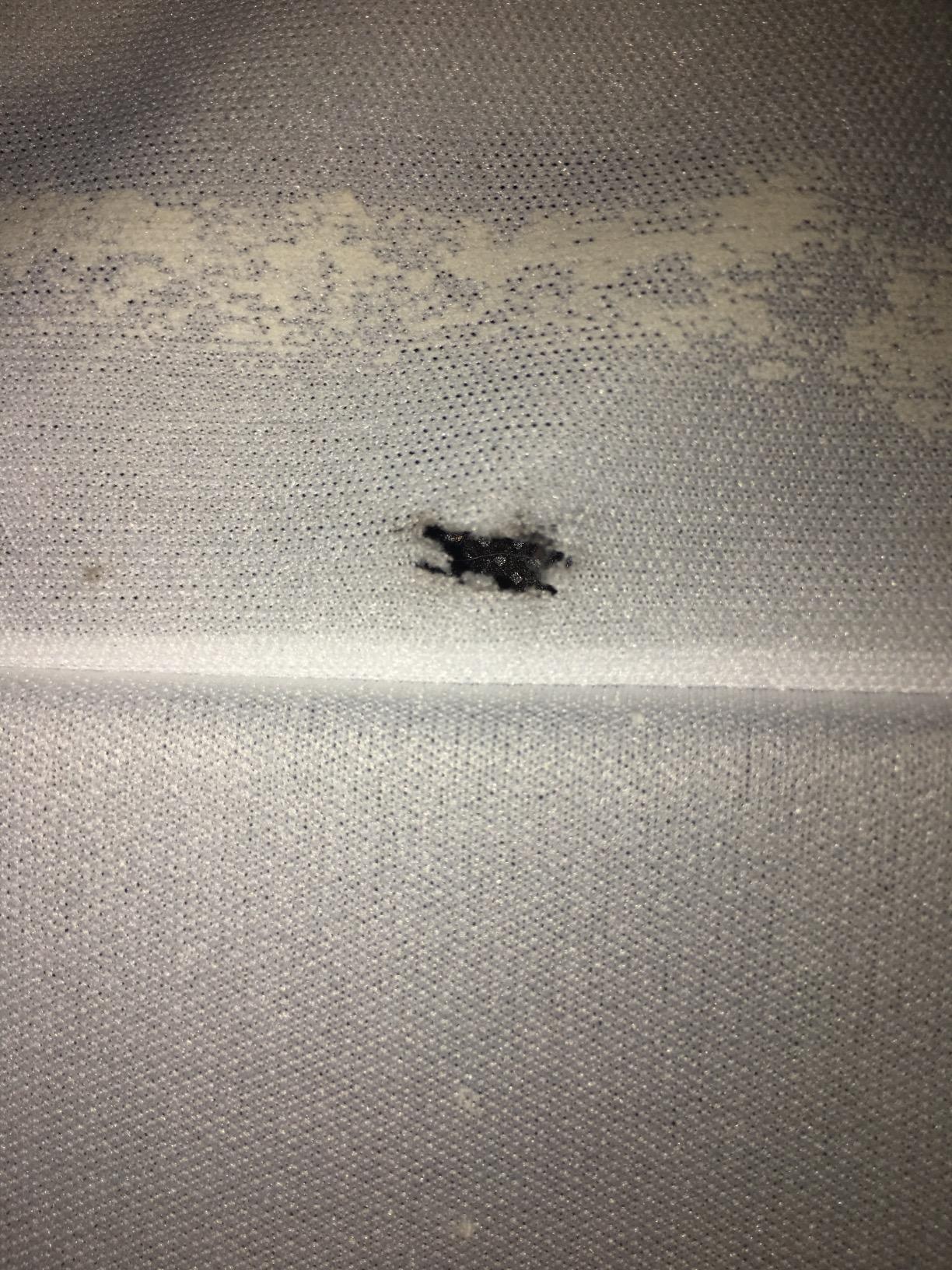 User review photo