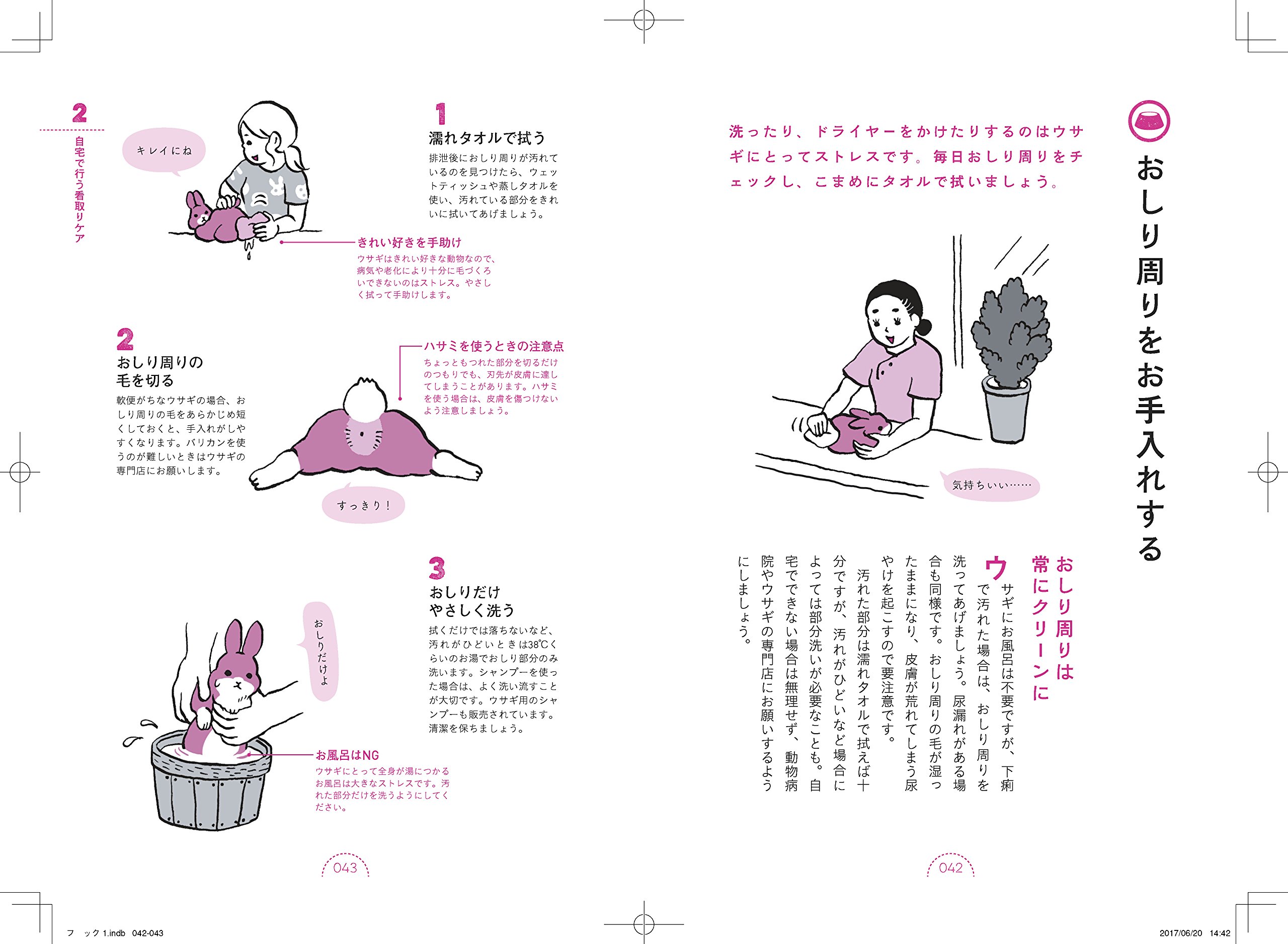 ウサギの看取りガイド 田向 健一 伊藤ハムスター 本 通販 Amazon